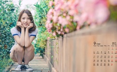 佐藤江梨花种子